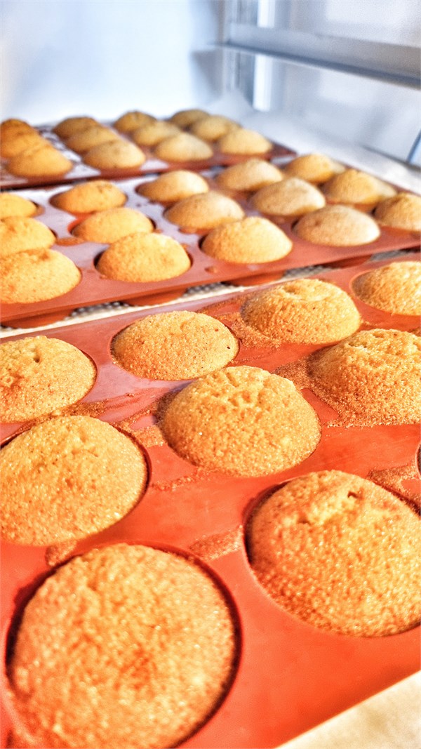 Le Nouveau Planning janvier & fevrier 2026 !